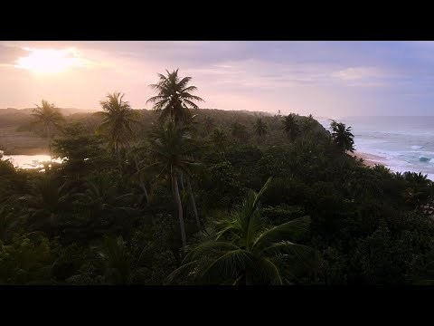 Surfing Los Tubos, Manati Puerto Rico 4k