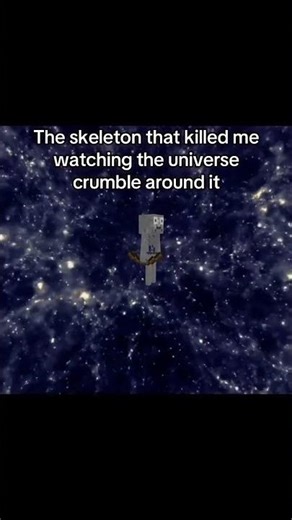 Must be so confusing#minecraft #scliffer #funny #relatable #skeleton