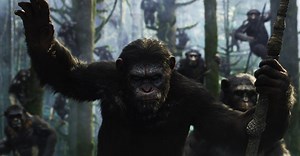 Blog | Film: Apes Revolution, cospirazioni e distopie dal Pianeta delle Scimmie - Il Fatto Quotidiano