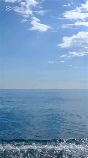 #面白い #おもしろ動画