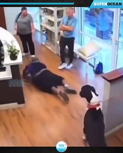 33M views · 409K reactions | 56Most Incredible Moments Caught on Camera | เบเกอรี่พอเพียง | Facebook