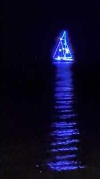 Lighted Boat Parade - Purple Waves