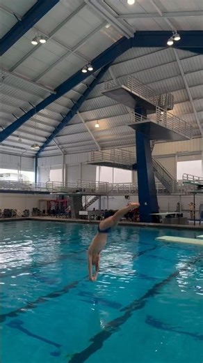 1m spring board Diving #diving #olympicsport #worldaquatics #olympicdiving