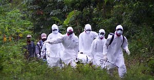Tracking the source of the Ebola outbreak in West Africa
