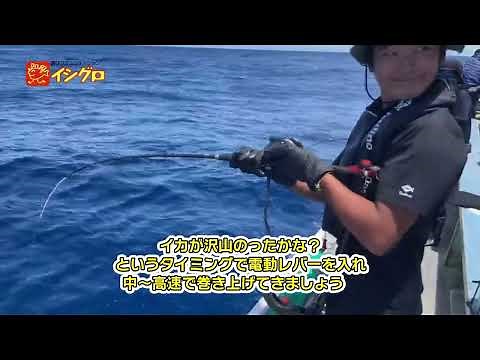 大山沖 直結仕掛スルメイカ 投入・誘い・回収の流れ