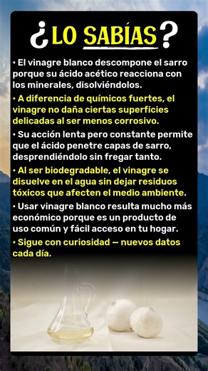 El Vinagre Blanco Elimina el Sarro Mejor que los Químicos