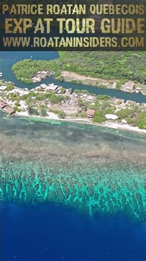 Coco Views Resort Coral Reef Dive and Snorkeling Drone Map Reel