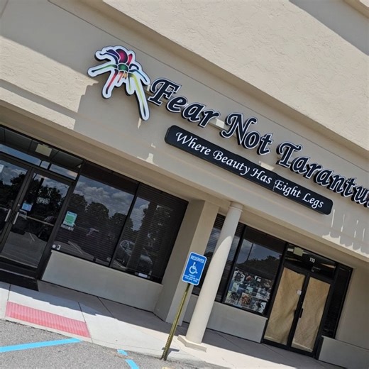 PACKING VIDEO as requested. 😊 We have had many requests for a video showing how we pack. Janet (aka Auckie), chose one of the more challenging species to pack - though she sure made it look easy! 💚💙 | Fear Not Tarantulas, Inc