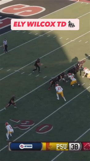 Steven Ward with the fumble, Ely Wilcox picks it up for 6 🦍 #GRIT // #KOJ // #OAGAAG | Pitt State Football