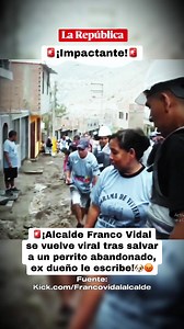 Alcalde Franco Vidal salva a perrito abandonado: emotiva historia