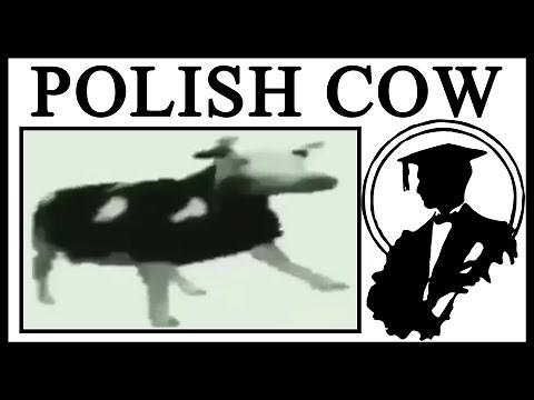 Why Dancing Polish Cow Is Great