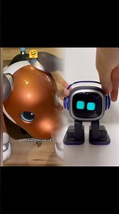 Aibo robot dog playing with his dice #aibo #aiborobot #robotdog #airobot