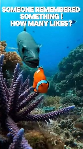 Nemo and Dory in Real Life! 🐠💙#ytshorts