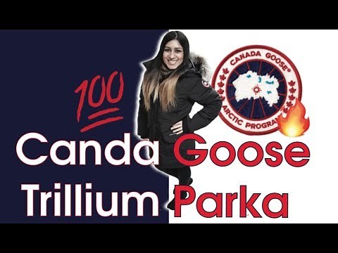 Canada Goose Trillium Parka Review + On Body