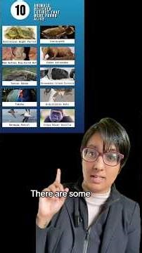 Explaining things you don’t understand #2