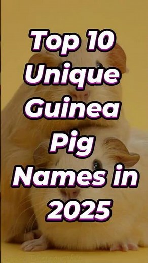 Top 10 Unique Guinea Pig Names 2025 🐹✨ | Creative Pet Name Ideas! #shorts #guineapig #petnames