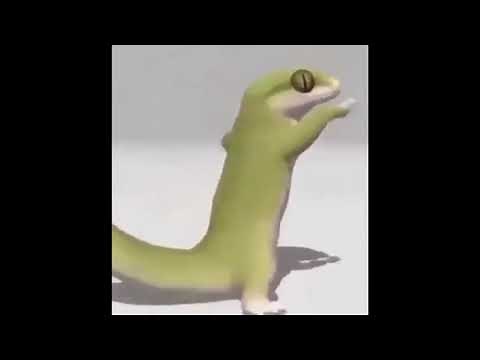 Lizard dances to Pokemon but its actually synced