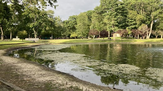 The Ridgewood duck pond is getting a $1.7M overhaul. Here's what's changing