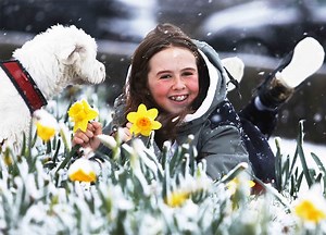 Status Yellow Snow And Ice Warning To Hit 10 Counties This Morning