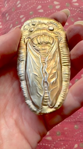 219K views · 550 reactions | Cicada brooch! Here’s how I made this cicada brooch from an aluminum can. As always, if you want to try this method, use an outside heat source for maximum ventilation (don’t breath the fumes) The glass styluses I use for this process are available in my shop. #sodacanart #sodacancrafts #upcycle #crafts #jewelrymaking #recycledmaterials #cicadabrooch | Alexis Berger's Jewelry | Facebook