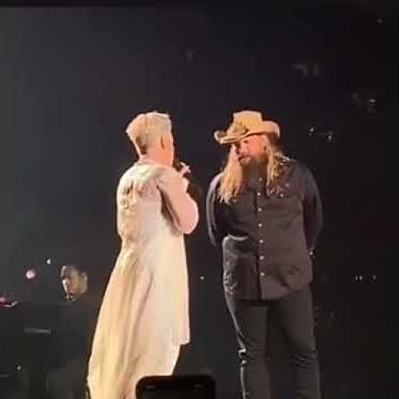 Pink live “love me anyway” with Chris Stapleton Madison square garden 5/21/19
