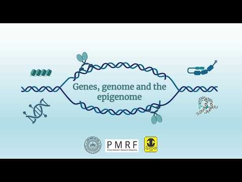 Week 10 : Genes, genomes and the epigenome