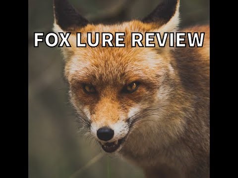WHAT IS THE BEST FOX LURE?