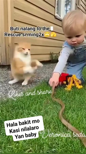 #highlightseveryone #nonfollowersviewers #hilightseveryonefollowers #fyp #highlight #trend #thankyouforyoursupport #everyone #viral #Amazing | Veronica Seda