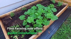 Our latest video provides a look at Fleet Farming's new service: home garden installations. Fleet Farming is a non-profit program that is dedicated to transforming lawns into farms. You may have heard about their farmlette program, where homeowners donate their lawn so that Fleet Farmers can maintain a garden and harvest veggies to sell (and also share them with the host)—but there's a wait list for this program and it doesn't extend to every neighborhood in Orlando yet. If you live in the City 