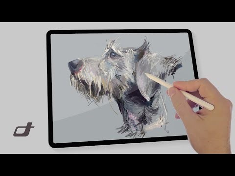 Study of a Dog | Expressive Line & Form Painting in Procreate
