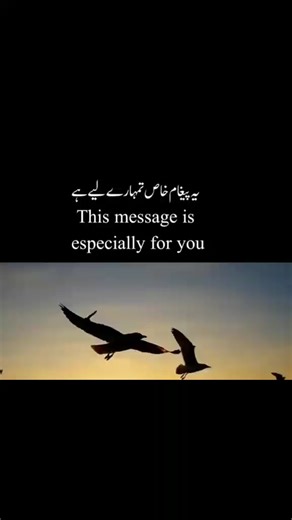 Asmi chaudhry (@asmi.chaudhry)’s videos with original sound - Asmi chaudhry