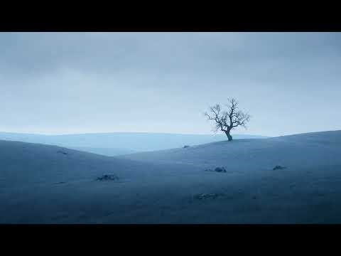 Solitary Tree in Blue Mist 🌫️ Deep Ambient Music for Focus & Meditation | Old Room