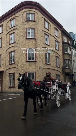✨ This is your sign to visit Quebec City this christmas! 📍Located in Quebec Canada, this town feels