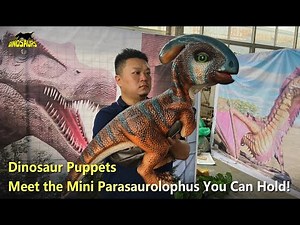 Meet the Mini Parasaurolophus You Can Hold! | Dinosaur puppets