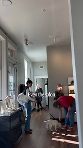 Hickory Bluff Labradors LLC on Reels