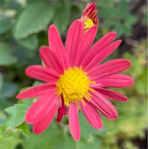 We are the world のメンバーの凄さと順番 (USAフォー・アフリカの歌手・アーティスト・出演者の名前の動画）受賞歴、ウィー・アー・ザ・ワールド歌詞の意味・和訳、メンバーの死去（ティナ・ターナーほか） - Arigato 毎日幸せを感じる「懐かしい曲」と「思い出」と「終活」