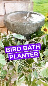 452K views · 9.8K reactions | This DIY bird bath planter was so simple and turned out stunning!  #planttherapy #pottedplants #PlantHack #outdoordecor #birdbath | nikkiplantsthings | Facebook