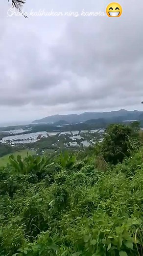 @highlight | Mark Benson