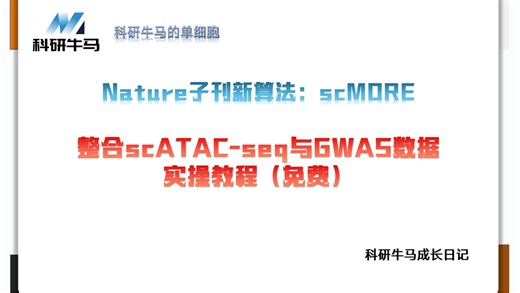nature 子刊新技术：scMORE 整合 scATAC-seq 与 GWAS 数据实操（免费）