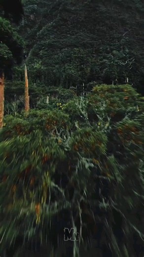 710 reactions · 235 shares | "5 powerful lessons for finding strength...