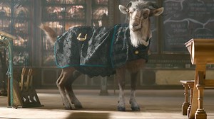 19K views · 838 reactions | Classes are in session! Visit Doctor Dillamond’s classroom and take our quiz, now open at https://www.shizuniversity.com/en/tour/classroom | Wicked Movie | Facebook