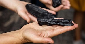 Dust of these domains: Performance readings | UNSW Sydney