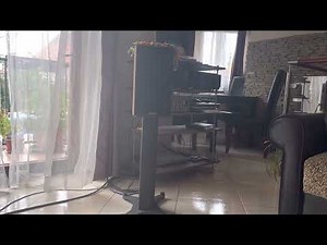 Dynaudio Heritage Special + Devialet Expert 140 pro