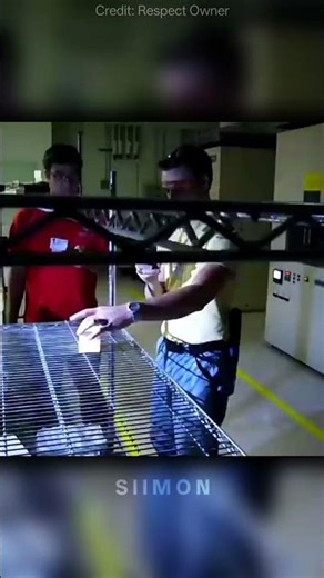 Touching Fire Without Getting Burned 😱 #shorts