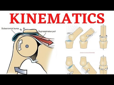 Biomechanics. Kinematics, Osteokinematics & Arthrokinematics.