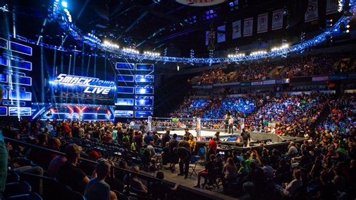 WWE Couple's Wedding Preparations Are In "Full Throttle"