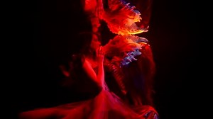 Pretty Young Woman Training Fabulous Dragon Stock Footage Video (100% Royalty-free) 1107130447 | Shutterstock