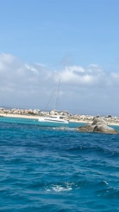 🌊✨ Une excursion en bateau de Bonifacio aux îles Lavezzi, vous laissera sous le charme des eaux turquoise, des falaises blanches de Bonifacio qui semblent toucher le ciel, et des criques sauvages des Lavezzi. Naviguer dans les Bouches de Bonifacio, c’est comme plonger dans une carte postale ! 🛥️🐠 Les grottes marines et les rochers sculptés par la mer et le vent sont à couper le souffle. Si vous passez en Corse, cette balade est un must ! Qui l’a déjà faite ?#Bonifacio #ÎlesLavezzi #Corse #Ave
