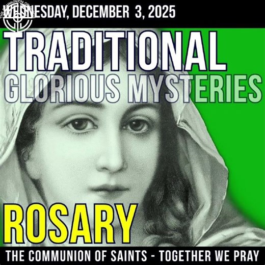 Pray the Hail Mary with Us: A Guided Devotion #shorts