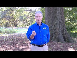 Tree Risk Assessment | Tree Care Basics | Mike Galvin | The Tree Care Industry Association